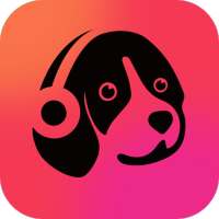 Offline Music Mp3 Player- Muso on IndiaGameApk