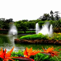 Park Fountains LWP on IndiaGameApk