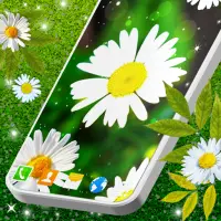 3D Daisy Spring Live Wallpaper on IndiaGameApk