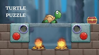 Turtle Puzzle Brain Puzzle Games: level screenshot 3