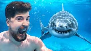 Would You Swim With Sharks For $100,000? screenshot 3