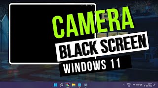 How to Fix Camera Black Screen Problem on Windows 11 screenshot 3