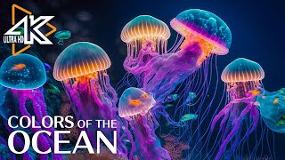 The Ocean 4K - Captivating Moments with Jellyfish and Fish in the Ocean - Relaxation Video #2 screenshot 5