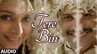 'TERE BIN' Full AUDIO song | Wazir | Farhan Akhtar, Aditi Rao Hydari | Sonu Nigam, Shreya Ghoshal screenshot 3