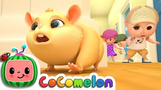 Lost Hamster | CoComelon Nursery Rhymes & Kids Songs screenshot 4