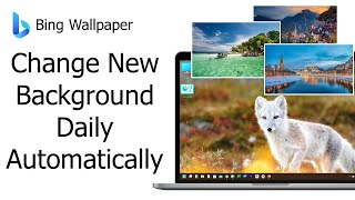 How to Automatically get New Wallpaper daily screenshot 5