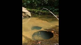 Mw Story GANAS SEKALI..!!! Mancing Ikan Wader diSpot Dangkal dan Berbatu (24) #mancingwader screenshot 5